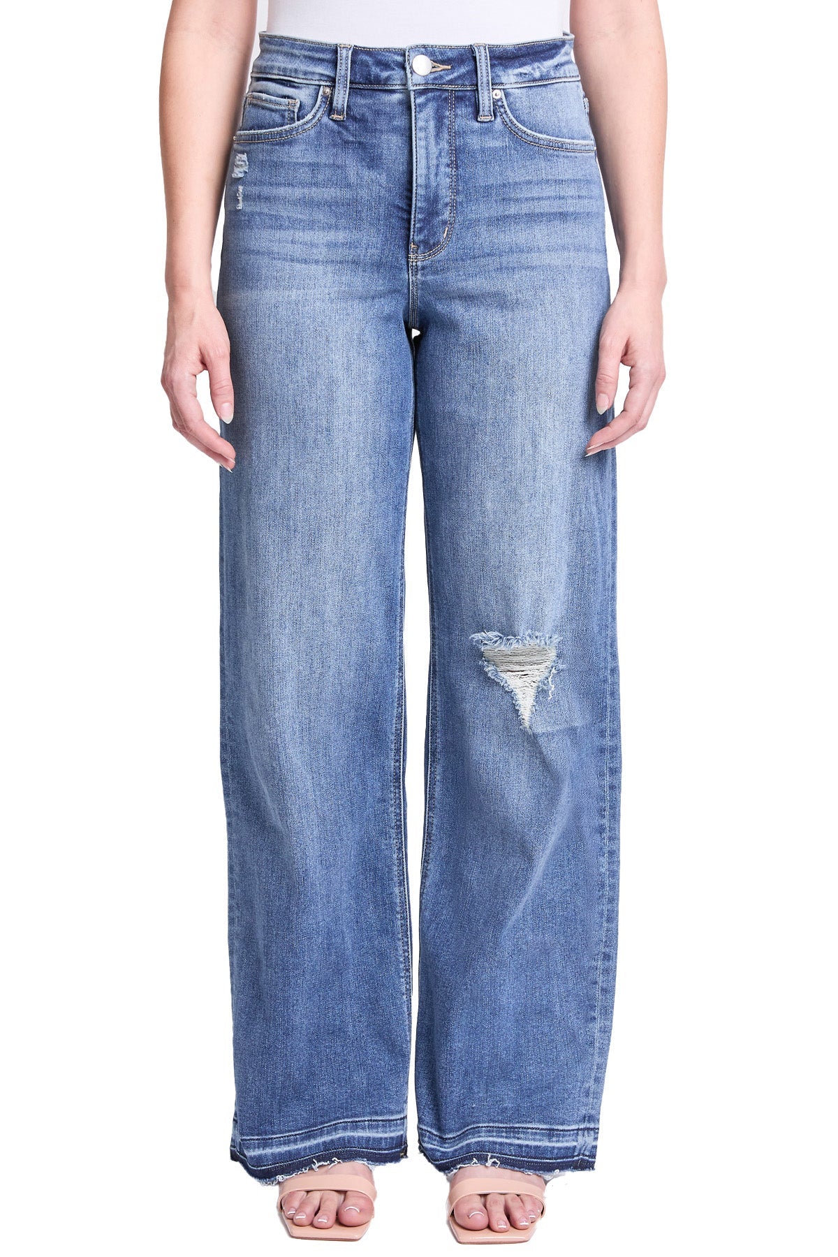 Hailey High Rise Wide Leg Jeans (PRE-ORDER SHIP 3/14/25)